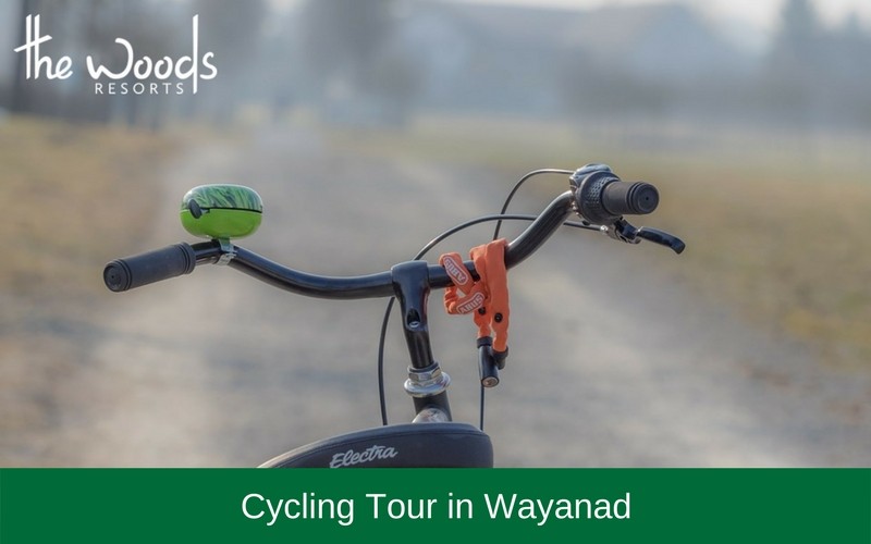 Cycling Tour in Wayanad