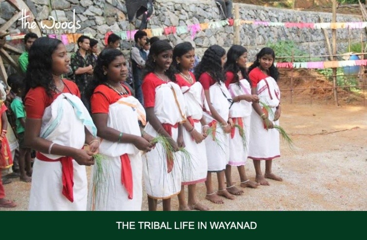 The Tribal Life of Wayanad