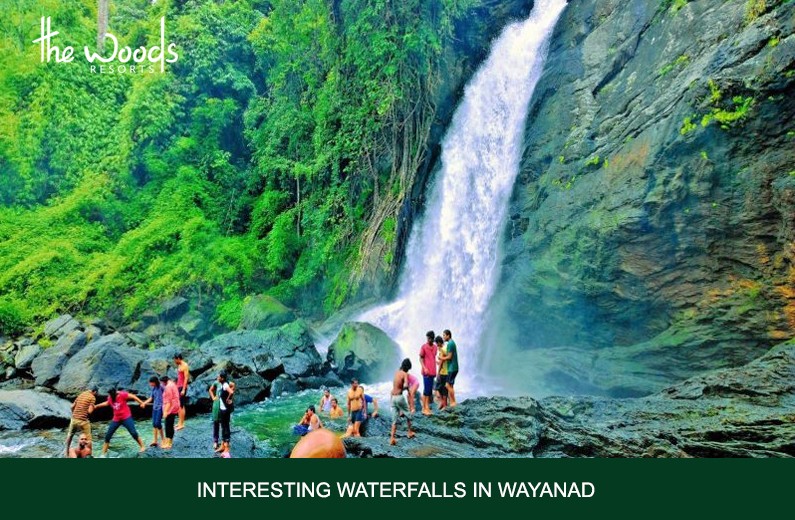 Top 5 Interesting Waterfalls in Wayanad