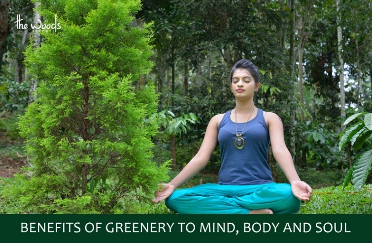 Benefits of Greenery to Mind, Body and Soul