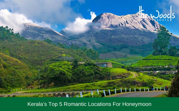 Top 5 Honeymoon Locations in kerala