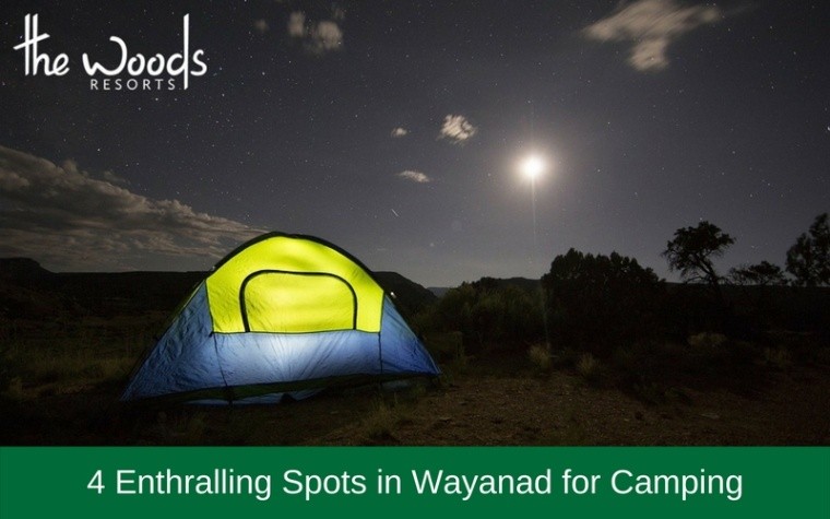 4 Enthralling Spots In Wayanad For Camping