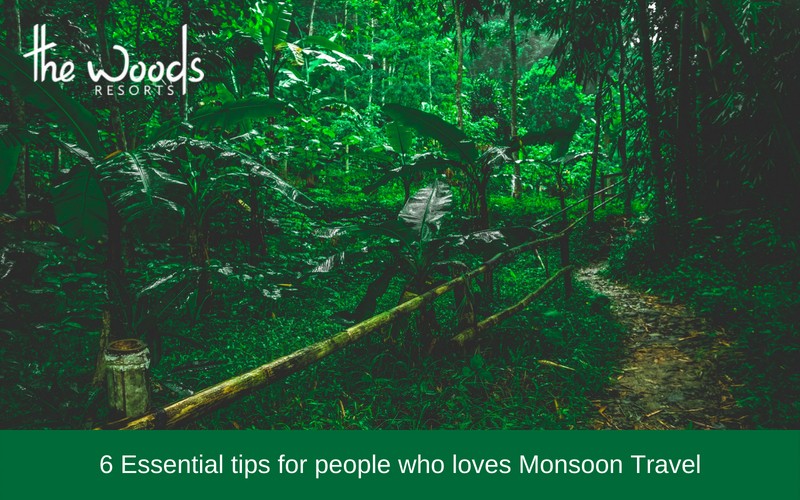 Essential Tips for People Who Love Monsoon Travel