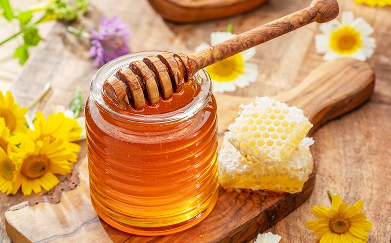 A Complete Visitor's Guide to the Honey Museum in Wayanad