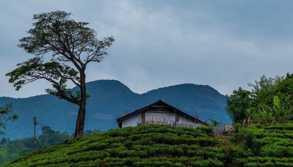 10 Interesting and Unknown Facts About Wayanad