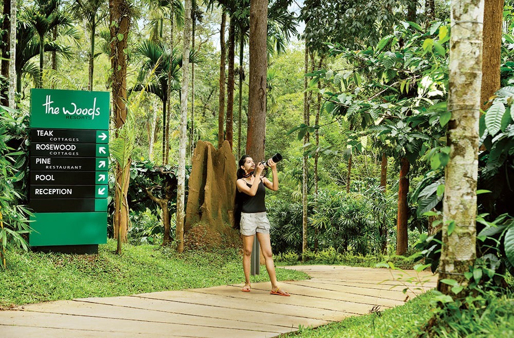 Jungle Resorts in Wayanad