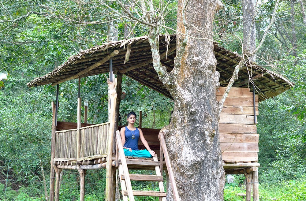 Nature Resorts in Wayanad