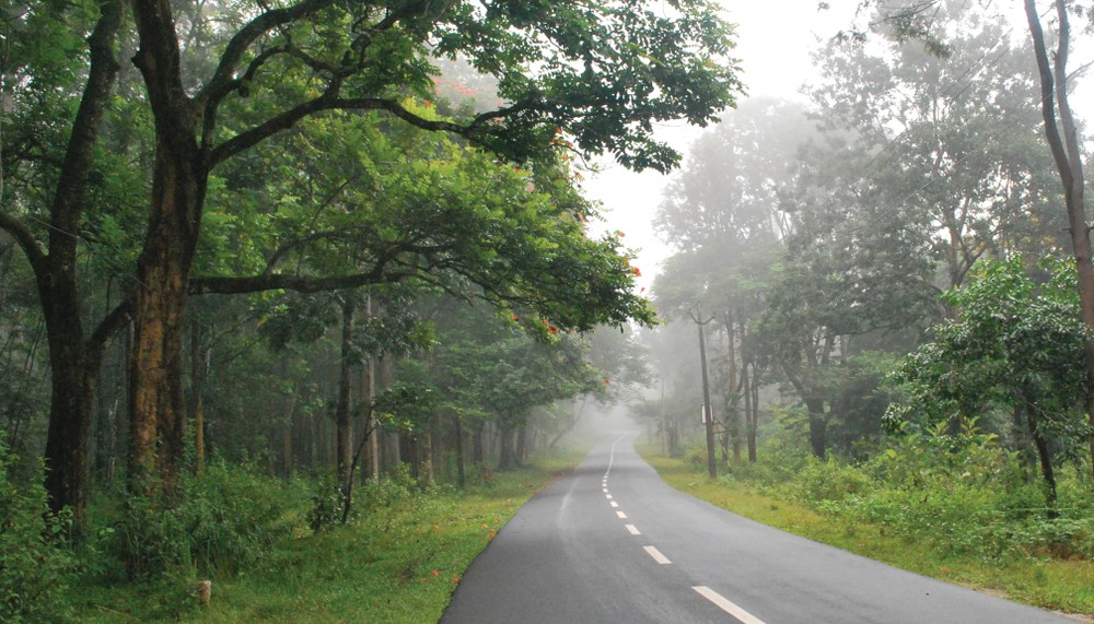 3 Routes for a Bangalore to Wayanad Road Trip