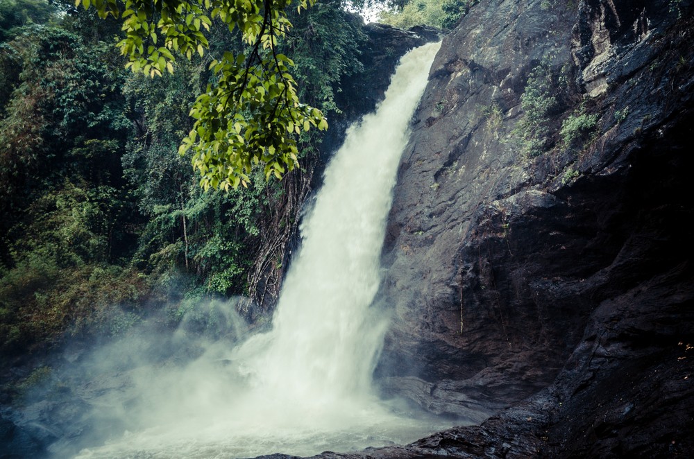 All about Soochipara waterfalls, Wayanad