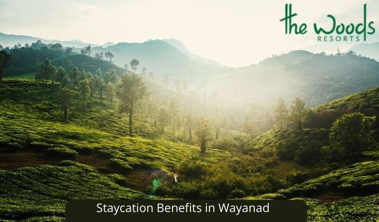 Staycation Benefits of Resorts in Wayanad, Kerala