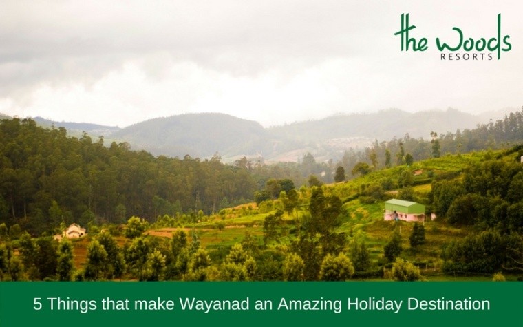 5 Things Make Wayanad Amazing Holiday Destination
