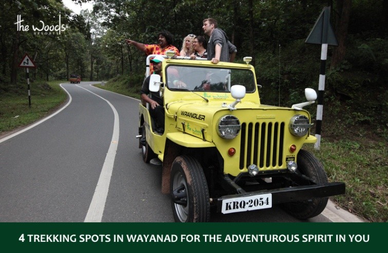 4 Trekking Spots in Wayanad for the Adventurous Spirit in You
