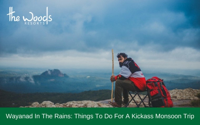 Things To Do While Wayanad Monsoon Trip