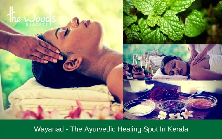 Wayanad – The Ayurvedic Healing Spot in Kerala