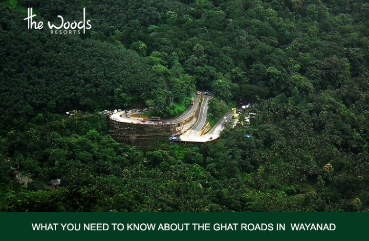 What You Need To Know About The Ghat Roads In Wayanad