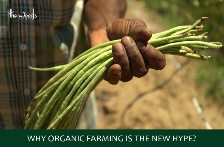 Why is Organic Farming so Important